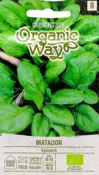 Spinach Matador ORGANIC Seed